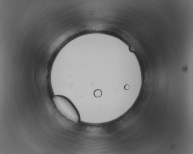 X0000115850440200912242041