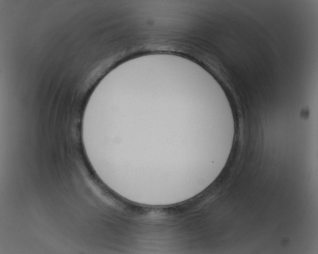 X0000115850441200912242041