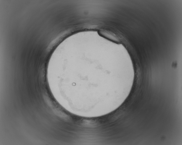 X0000115850442200912242041
