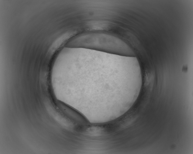 X0000115850444200912242041