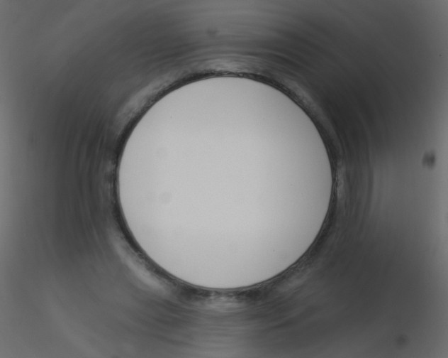 X0000115850445200912242041