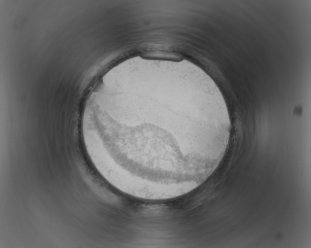 X0000115850446200912242041