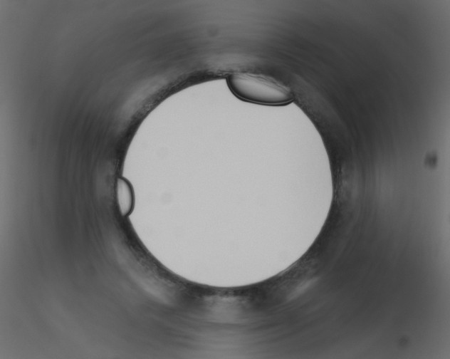 X0000115850448200912242041