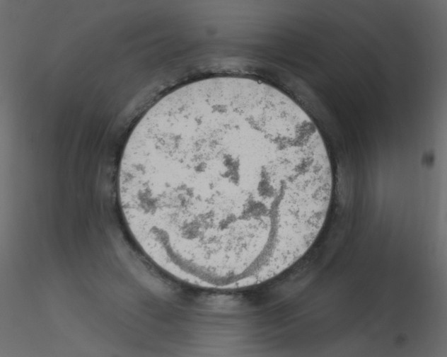 X0000115850449200912242041