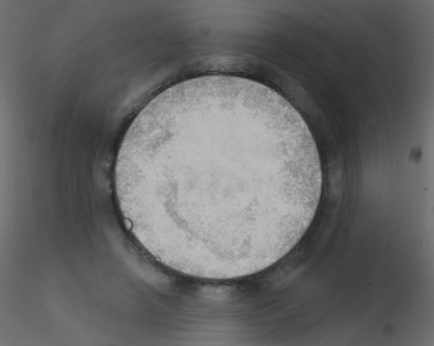 X0000115850450200912242041