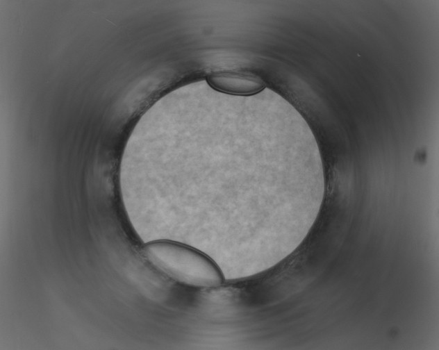 X0000115850452200912242041
