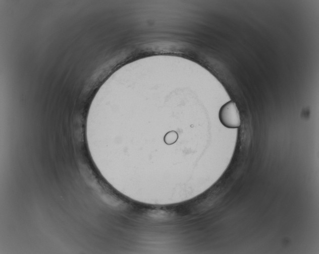 X0000115850453200912242041