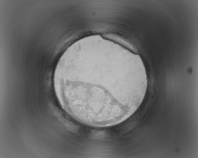 X0000115850454200912242041