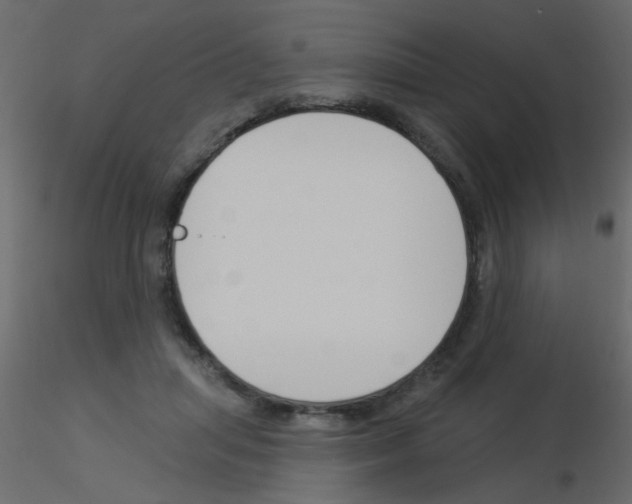 X0000115850455200912242041
