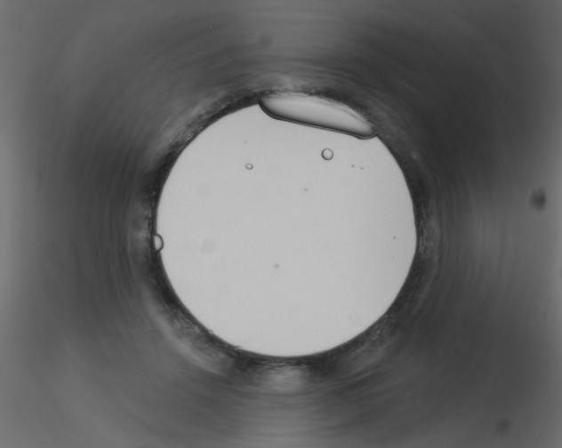 X0000115850456200912242041