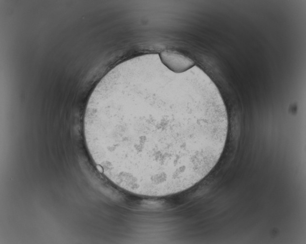 X0000115850457200912242041