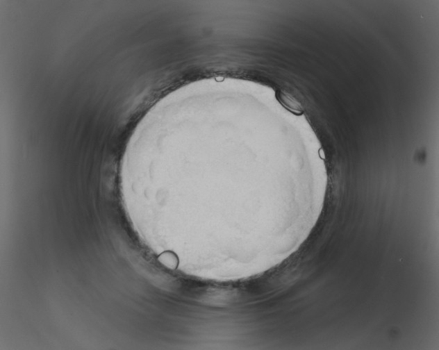 X0000115850458200912242041