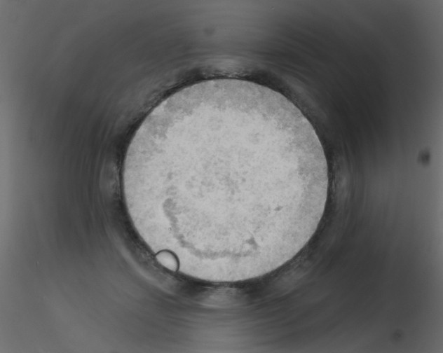 X0000115850459200912242041