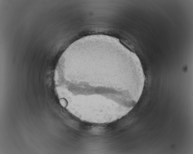 X0000115850462200912242041