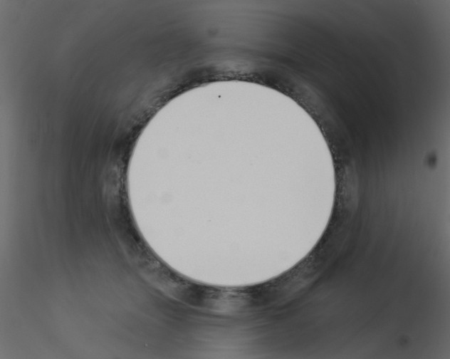 X0000115850463200912242041