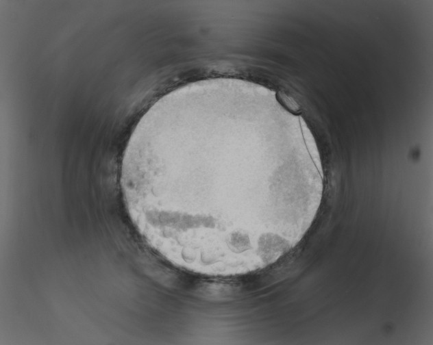 X0000115850466200912242041