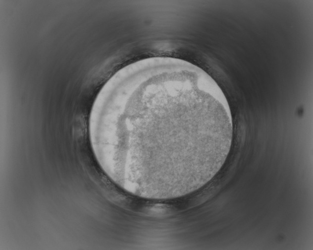 X0000115850467200912242041