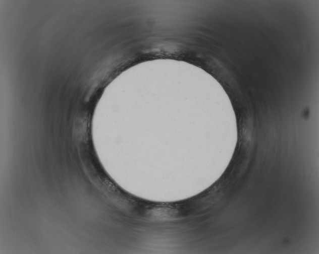 X0000115850468200912242041