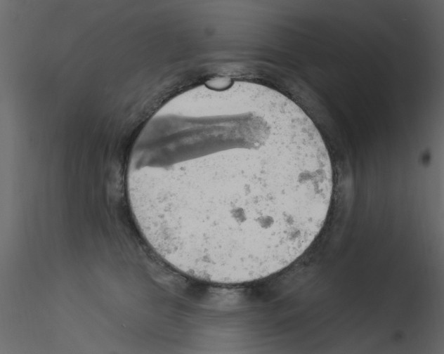 X0000115850469200912242041