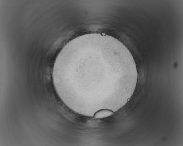 X0000115850470200912242041