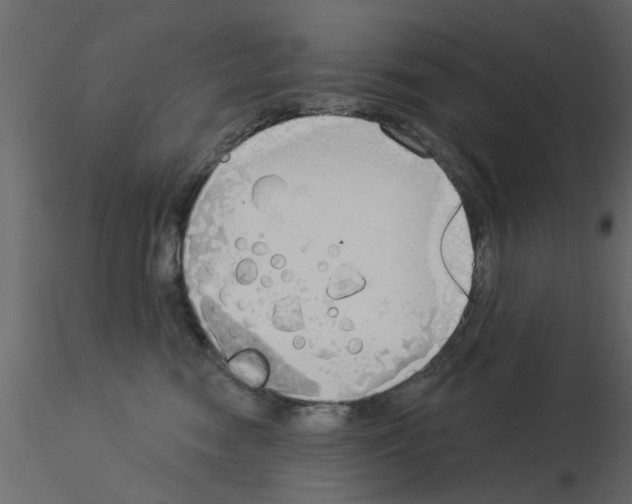 X0000115850474200912242041