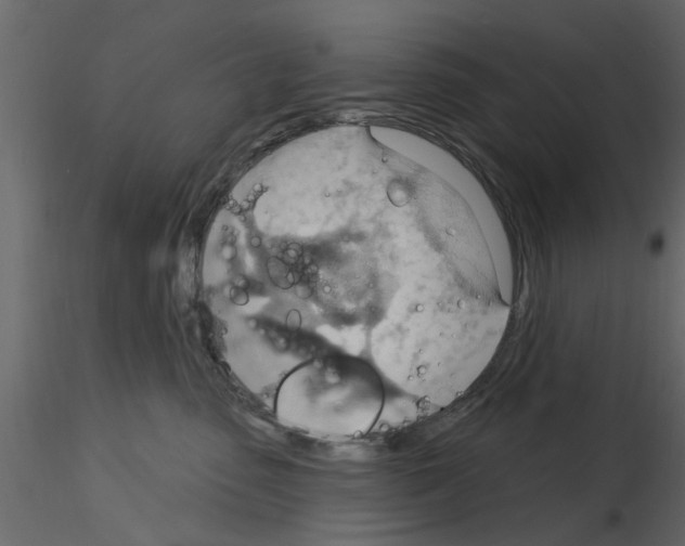 X0000115850475200912242041