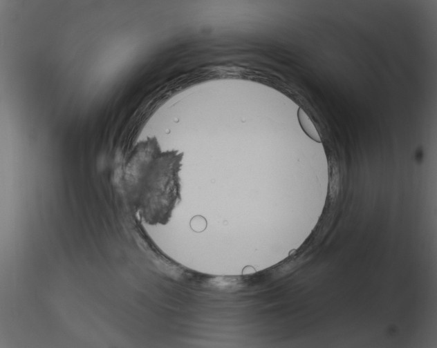 X0000115850477200912242041
