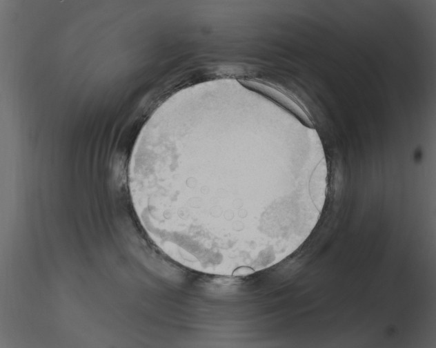 X0000115850478200912242041