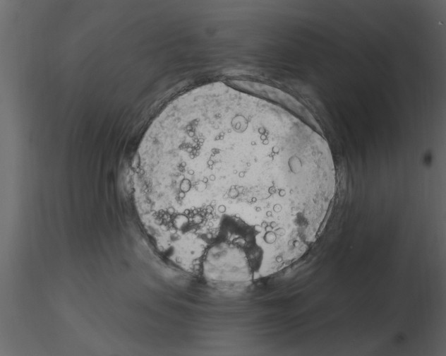 X0000115850479200912242041
