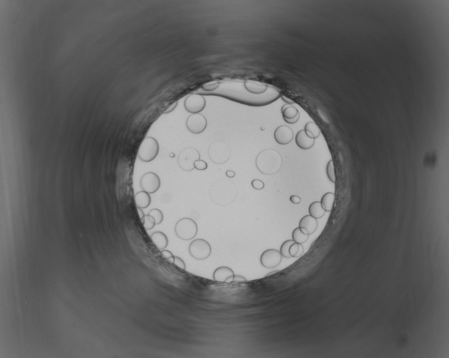 X0000115850480200912242041