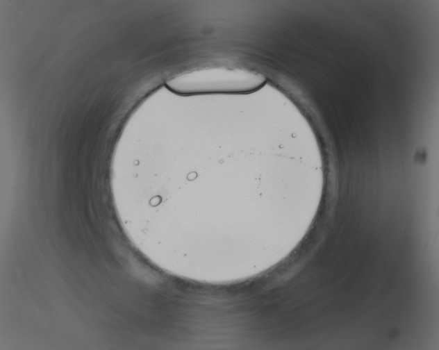 X0000115850481200912242041