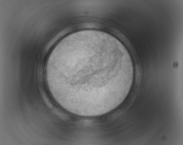 X0000115850482200912242041
