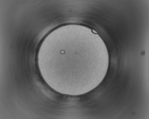 X0000115850484200912242041