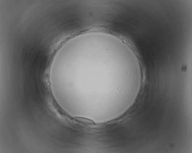 X0000115850485200912242041
