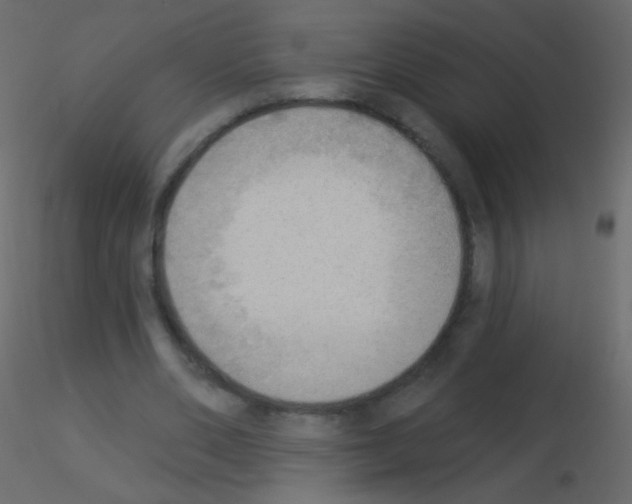 X0000115850486200912242041