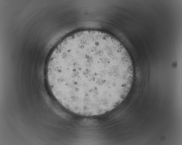 X0000115850487200912242041