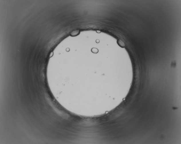 X0000115850489200912242041