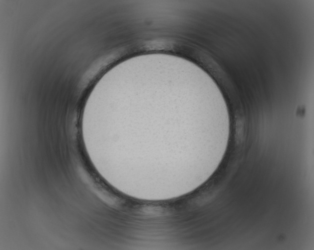 X0000115850490200912242041