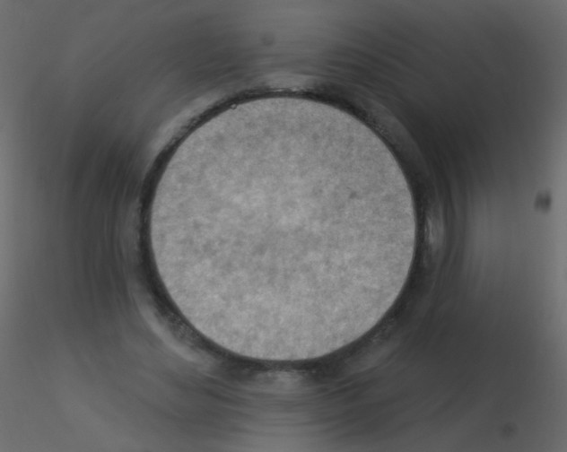 X0000115850492200912242041