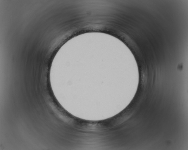 X0000115850493200912242041
