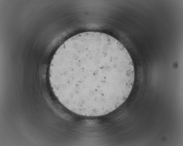 X0000115850495200912242041