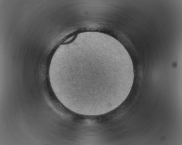 X0000115850496200912242041