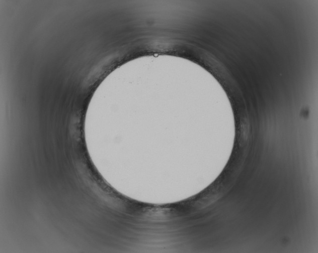 X0000115850497200912242041
