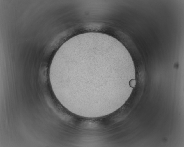 X0000115850498200912242040