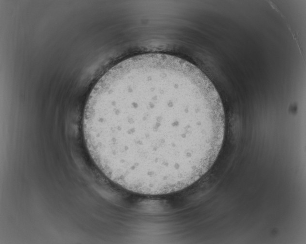 X0000115850499200912242040