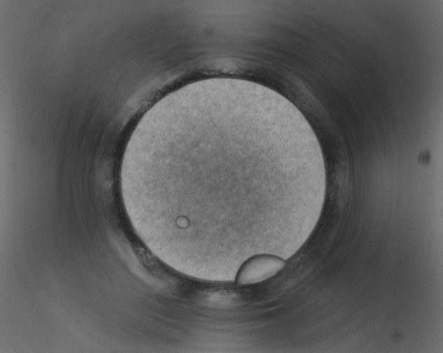 X0000115850500200912242040
