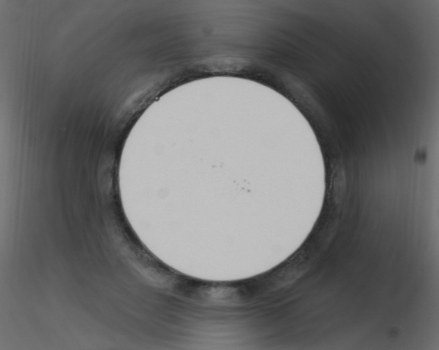X0000115850501200912242040