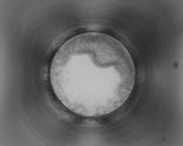 X0000115850502200912242040