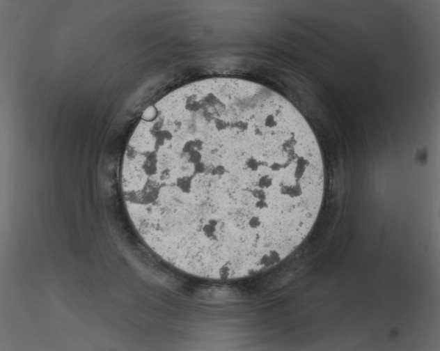 X0000115850503200912242040