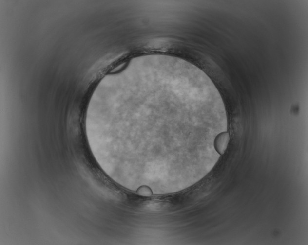 X0000115850504200912242040